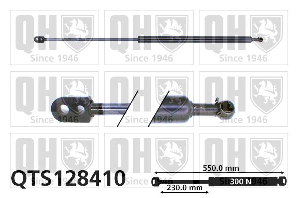 QUINTON HAZELL Газовая пружина, крышка багажник QTS128410